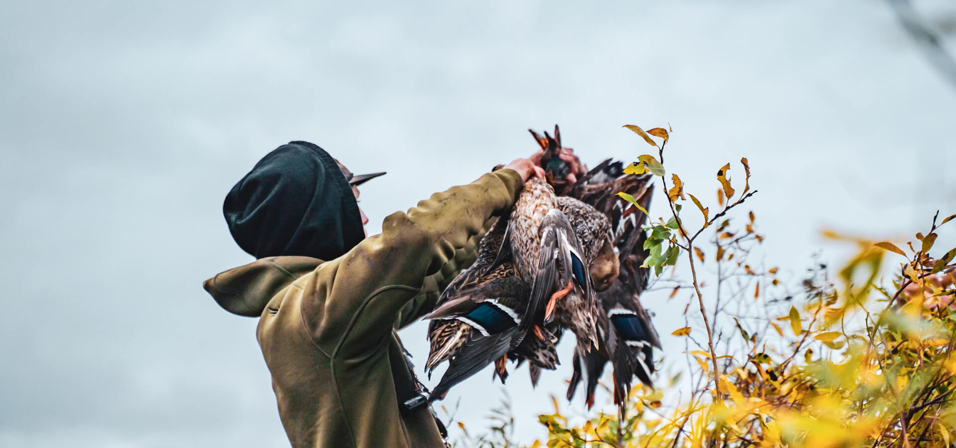 Commonly Asked Questions Commonly Asked Questions