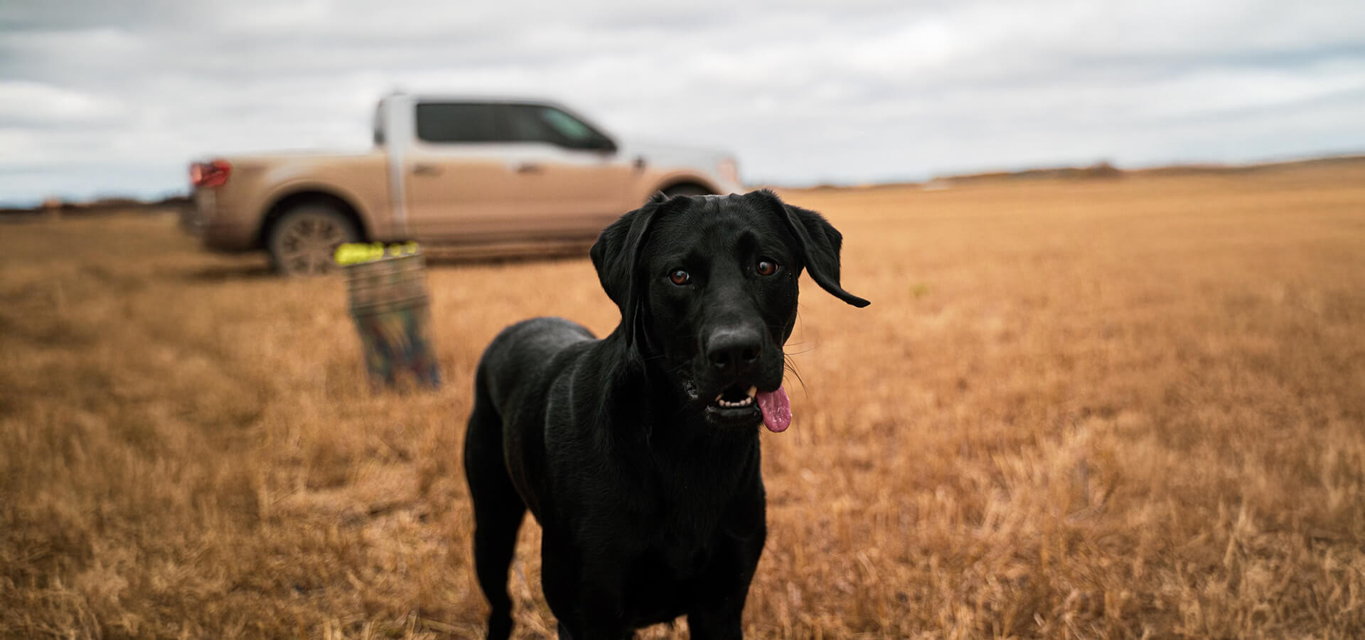Bay Prairie Saskatchewan Waterfowl Guides Bay Prairie Saskatchewan Waterfowl Guides