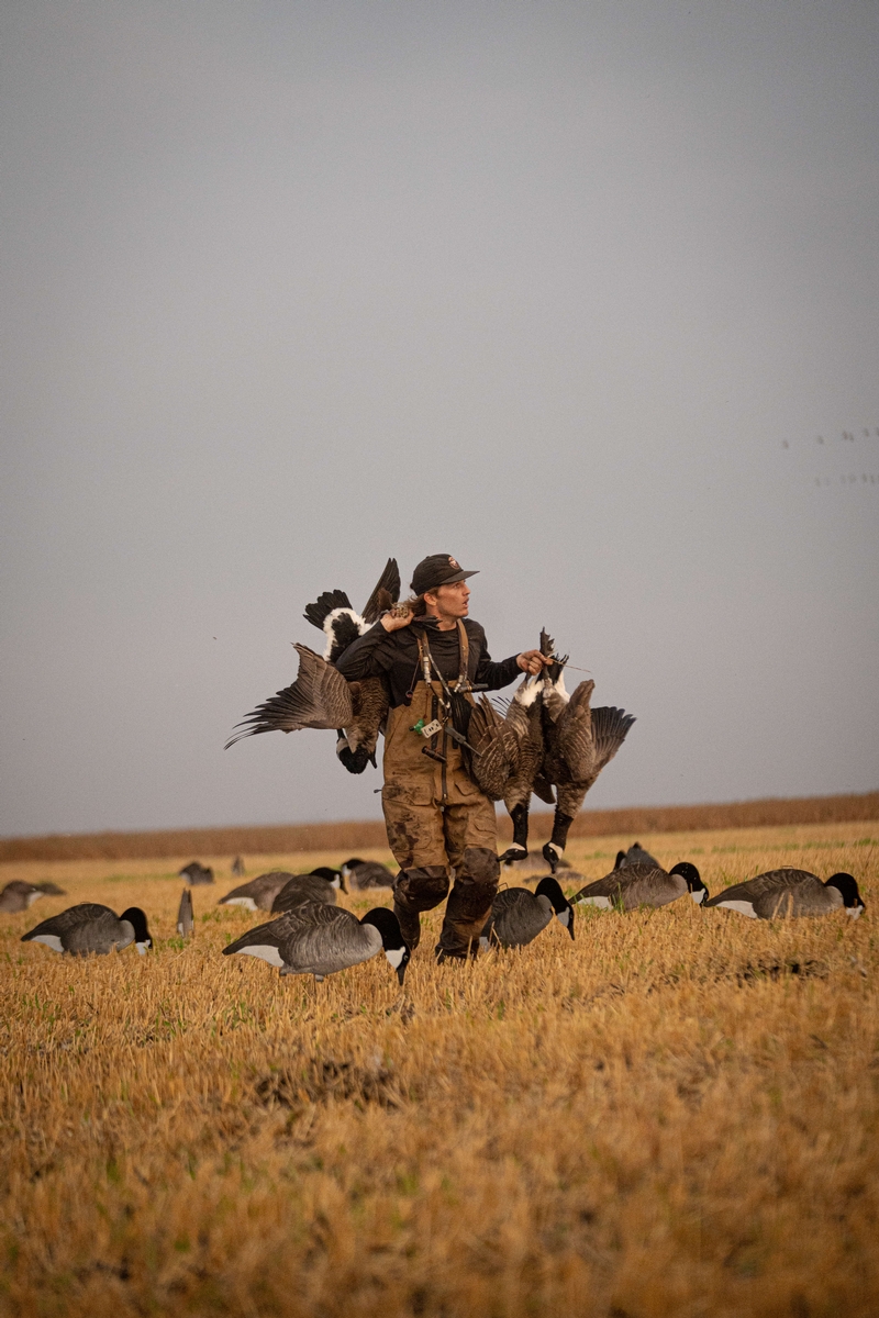 Goose Hunts